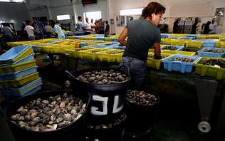 La crisis económica hace crujir al sector del marisquero arousano