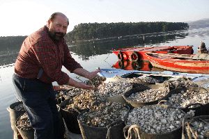 Retiran de un parque de cultivo de Carril hasta 1.500 kilos de marisco muerto