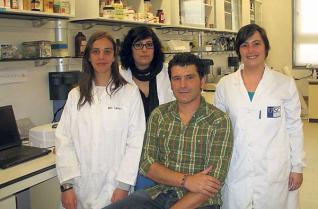 Los biólogos detectan nuevas bacterias que podrían causar la mortandad de las almejas