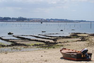 Mar extingue 7 concesiones de los parques de cultivo de Carril ante el retraso que acumula la reordenación