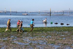 Mar eliminará las estacas que delimitan los parques de cultivo de la playa de A Compostela