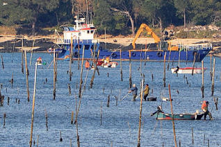 Mar apuesta por eliminar las varas que delimitan los parques de cultivo de Carril