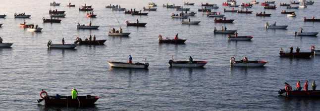 La mortandad de bivalvos lleva a las cofradías a cerrar los bancos de libre marisqueo el 16 o el 23 de enero