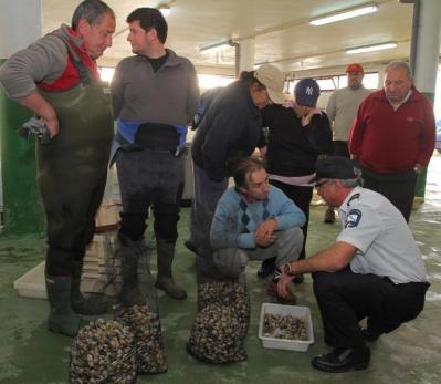Gardacostas se incauta de una embarcación y más de 280 kilogramos de almeja en Carril