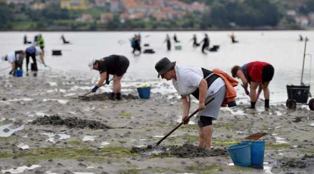 La Xunta convoca 34 permisos para marisqueo a pie en Pontevedra, Lourizán y Raxó