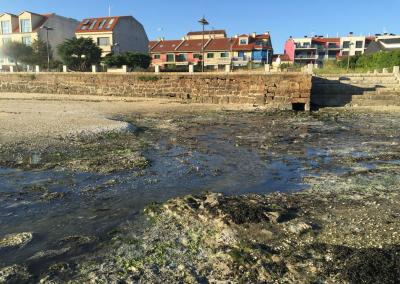 La Xunta investiga 30 focos contaminantes en Arousa sur