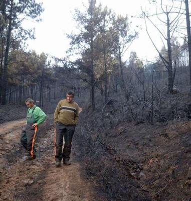 Incendios en Galicia &#124; Un estudio determinará si la ceniza puede llegar al marisco por los ríos Ulla y Umia