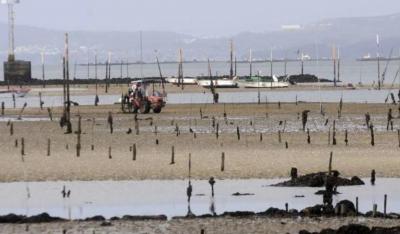 La ría volverá a beneficiarse en 2018 de importantes episodios de "mareas vivas"