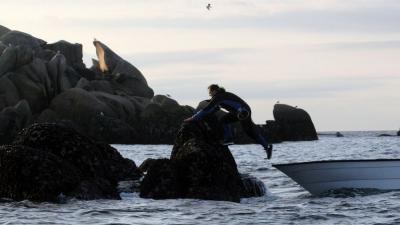 La pesca en las Islas Atlánticas tendrá un sello de calidad