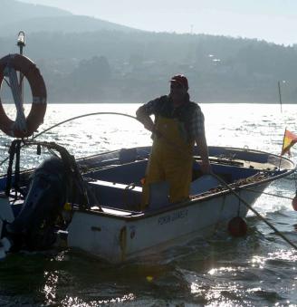 La campaña de libre marisqueo finaliza en Arousa con unos resultados pésimos