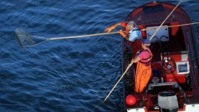 Mar levanta la prohibición de extraer almeja del libre marisqueo