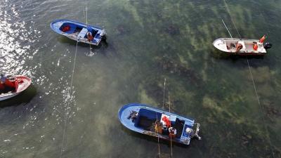 Mar acepta los nuevos cupos de Rañeir@s y levanta la prohibición al libre marisqueo