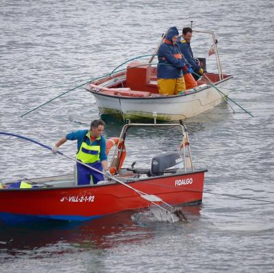 RESOLUCIÓN da Xefatura Territorial da Consellería do Mar en Vigo, pola que convoca o proceso selectivo para o incremento de cotas nas embarcacións que xa participan no plan de xestión de marisqueo con vara dende embarcación da Confraría de Pescadores de Carril
